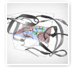 HIV Protease Docking